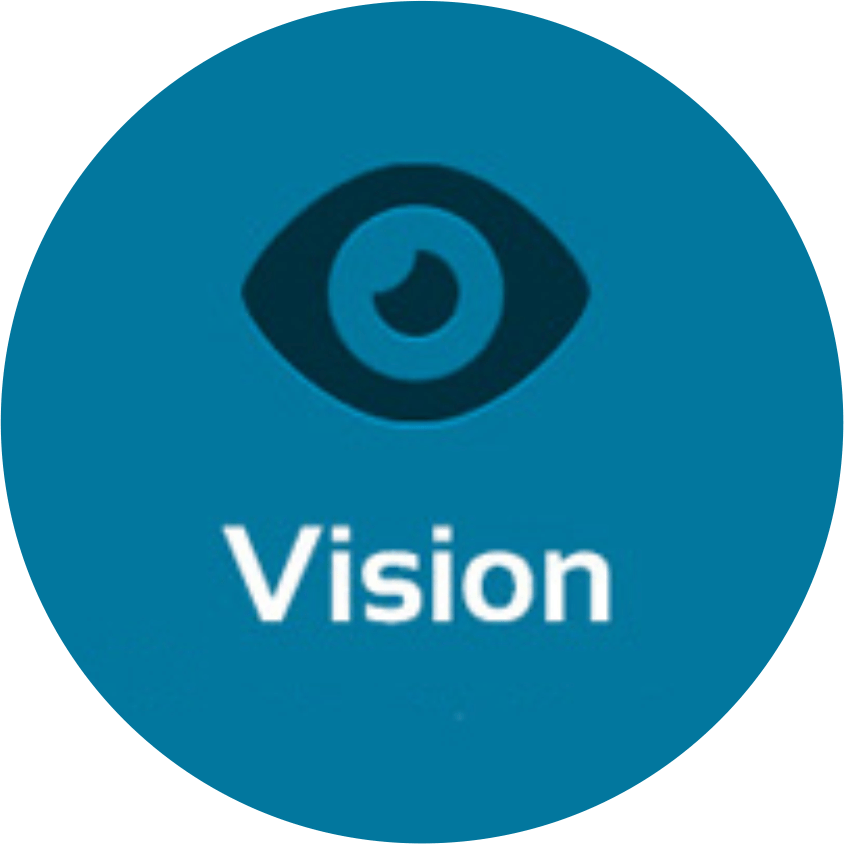Vision Image